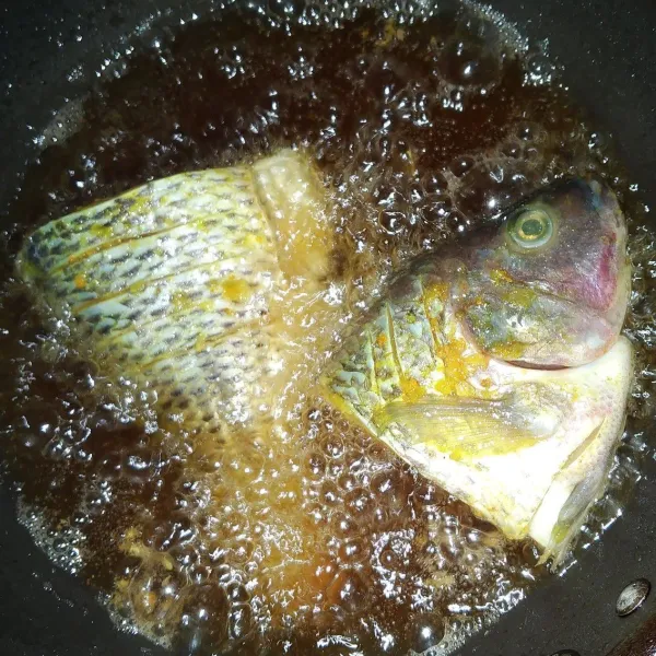 Panaskan minyak goreng dengan api sedang, lalu goreng ikan nila hingga matang.