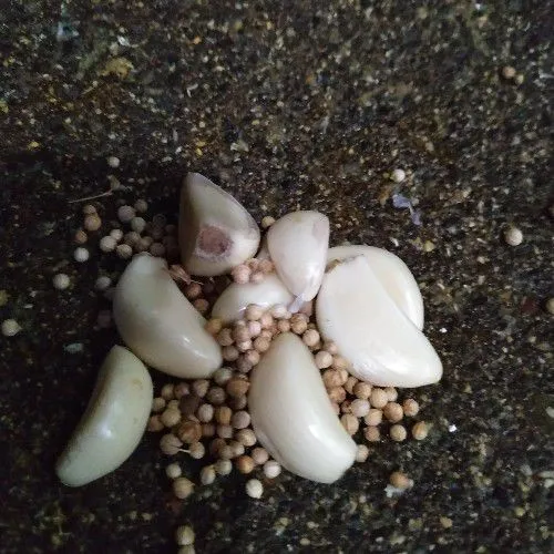 Haluskan bawang putih dan ketumbar.