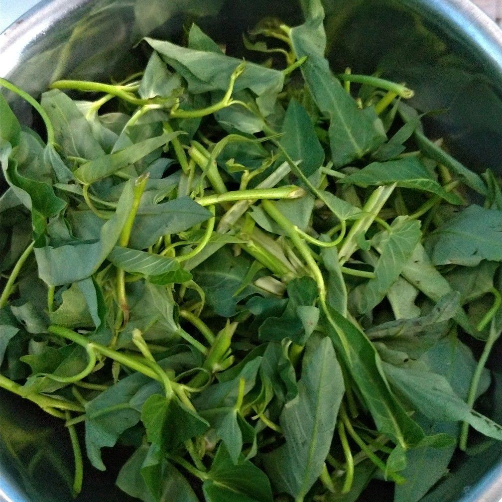 Langkah 2