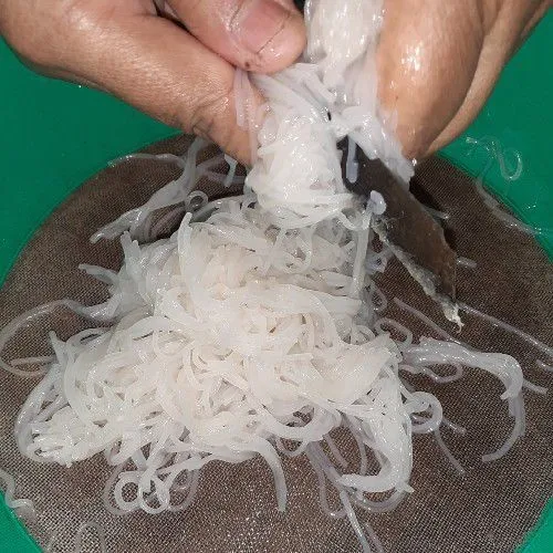Potong-potong bihun yang telah direbus.