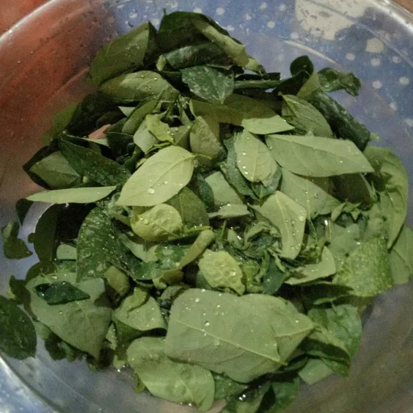 Lepaskan katuk dari batangnya. Cuci bersih dengan air mengalir.