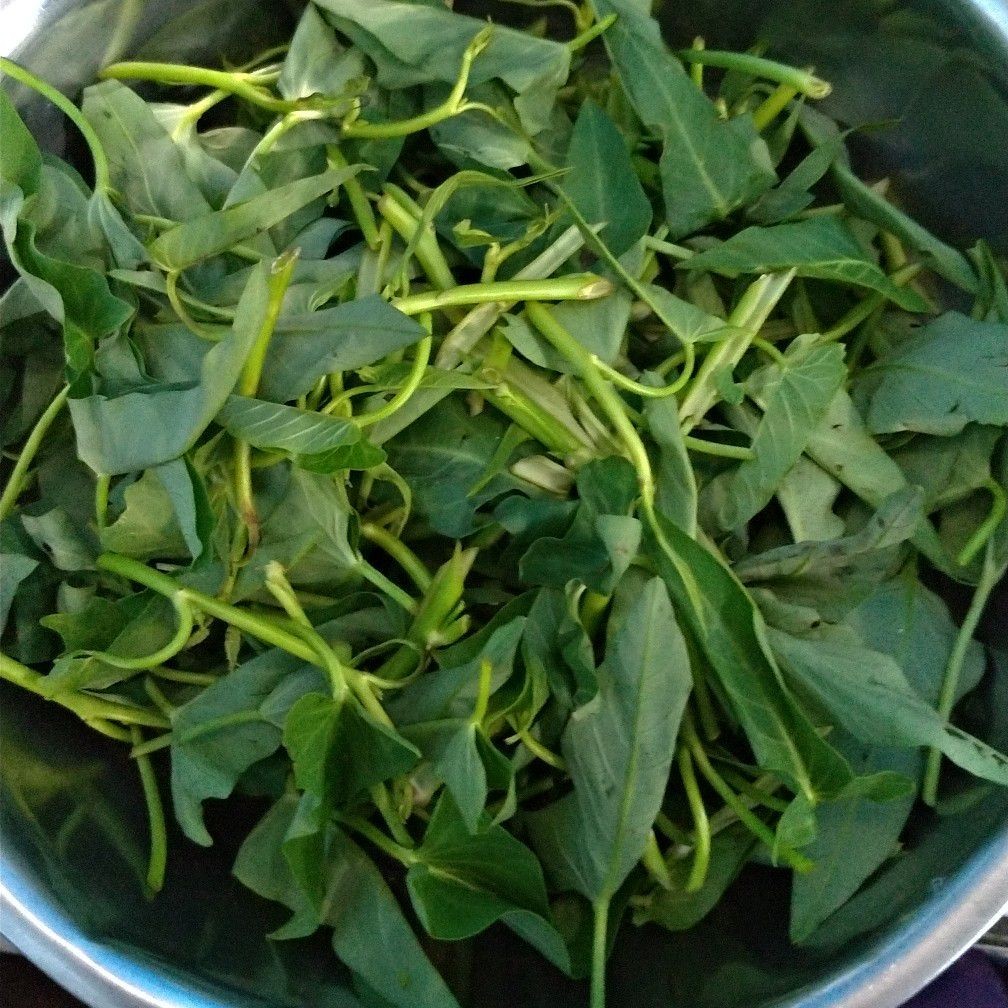 Langkah 1