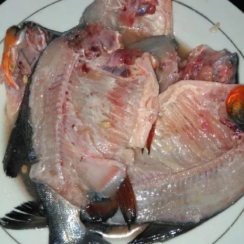 Ikan bawal, belah masing masing menjadi 2 bagian, bersihkan dan kucuri jeruk nipis serta beri sedikit garam.