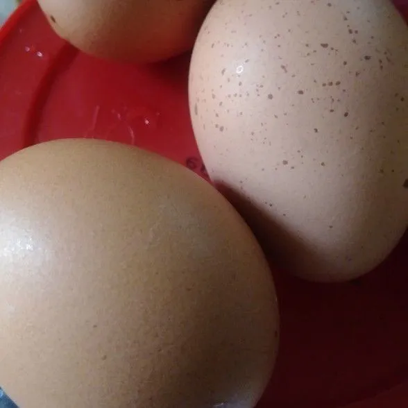 Rebus telur selama 5 menit, kupas dan sisihkan.