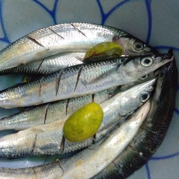 Langkah 1