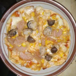 Pizza Teflon