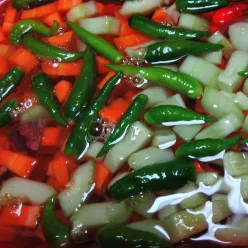 Acar Segar