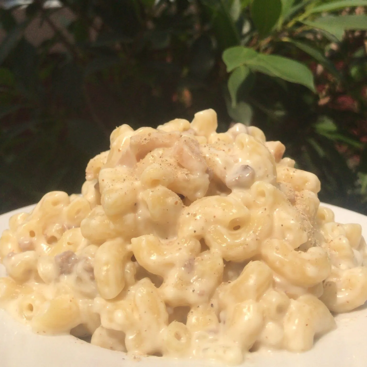 Macaroni And Cheese Sederhana