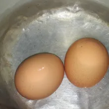 Rebus telur.