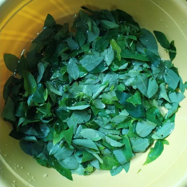 Daun katuk yang sudah dipetik daunnya lalu dicuci bersih.