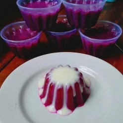 Puding Buah Naga