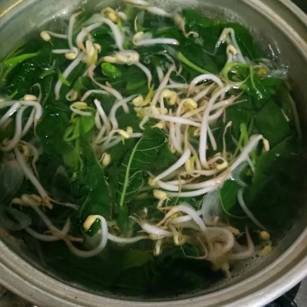 Lalu masukkan taoge, aduk rata. Masak hingga matang, tes rasanya lalu angkat.