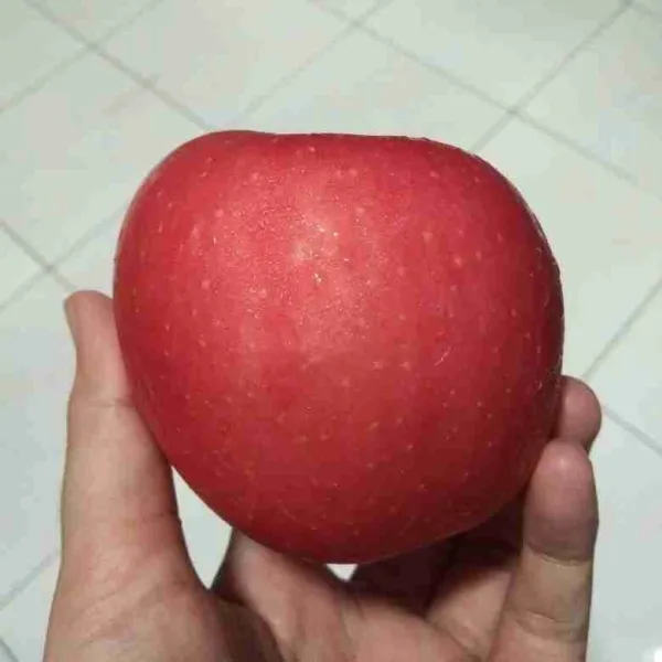 Siapkan 1 buah apel utuh.