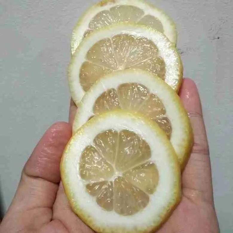 Step 2 Infused Water Lemon