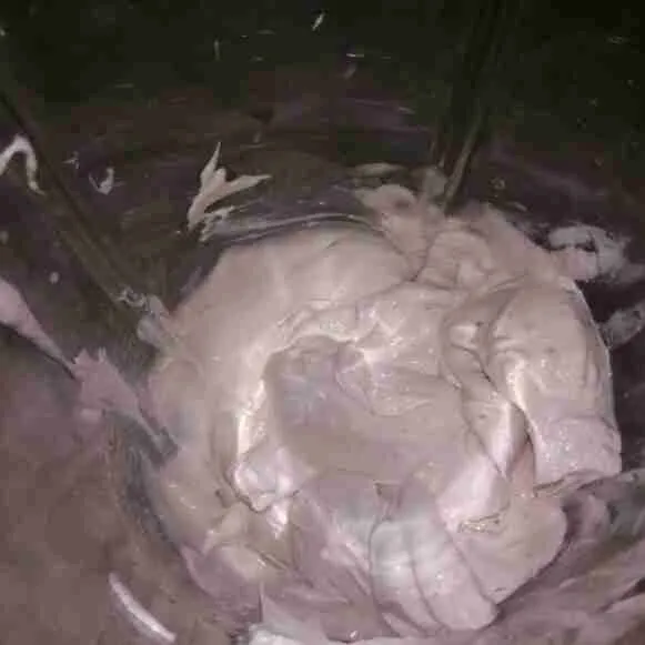 Setelah dibiarkan beku, keruk dan blend kembali bersama TBM. Blend hingga mengembang.