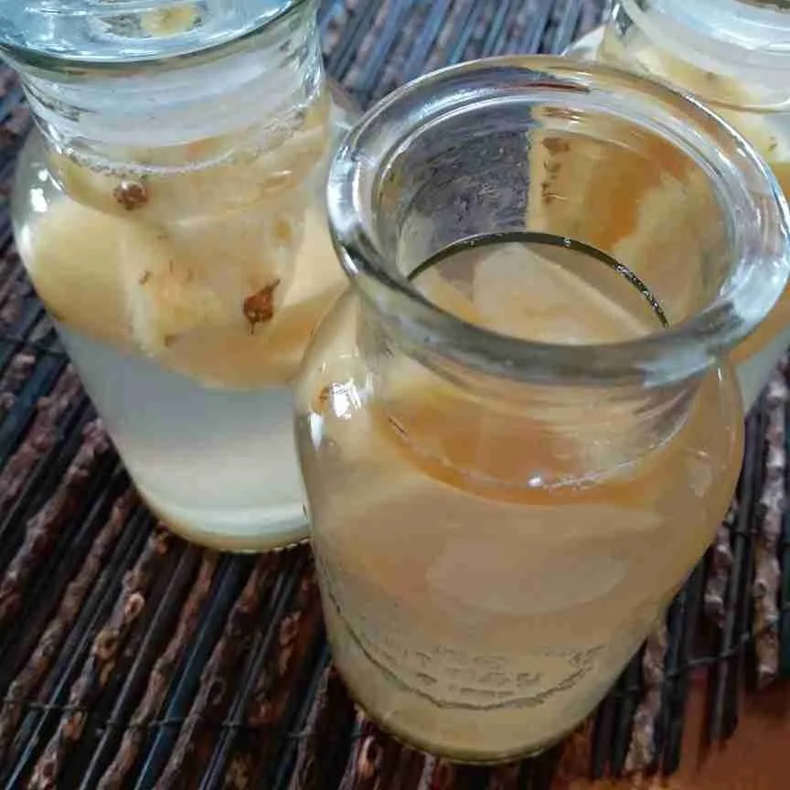 Step 5 Infused Water Nanas Cuka Apel Madu