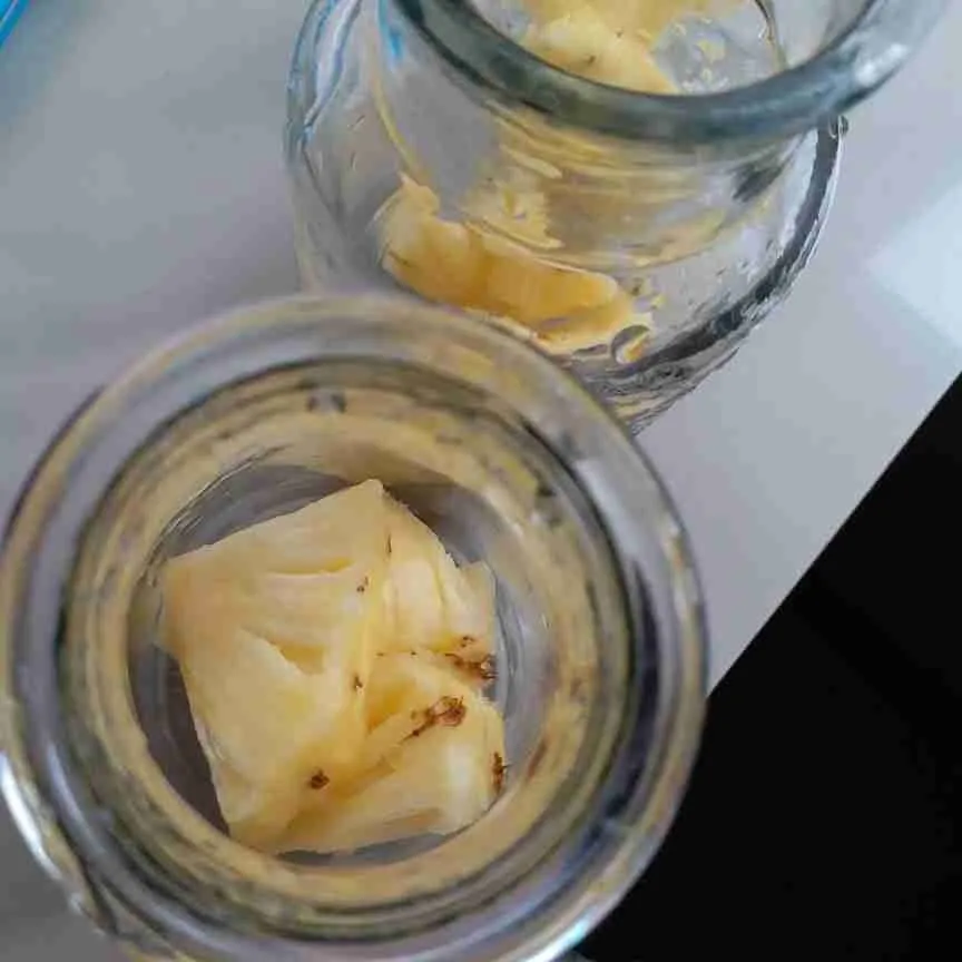 Step 2 Infused Water Nanas Cuka Apel Madu