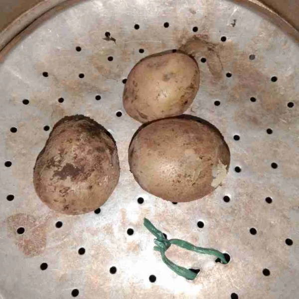 Kukus kentang sampai matang.