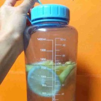 Infused Water Lemon Dan Madu