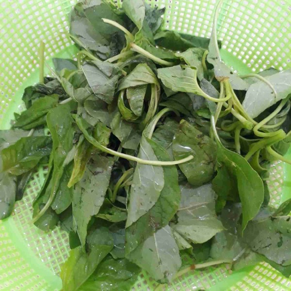 Siangi bayam lalu cuci bersih.