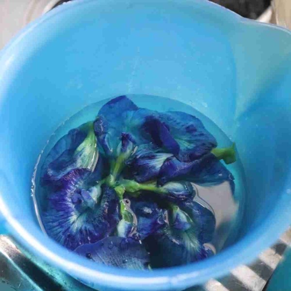 Siapkan rendaman bunga telang dengan air hangat, ambil airnya saja kemudian sisihkan.