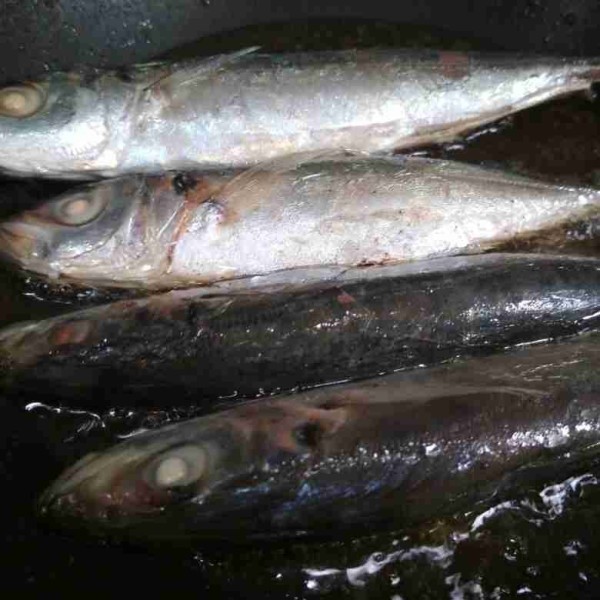 Goreng ikan pindang hingga setengah matang angkat dan tiriskan.