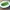 Sauteed Asparagus