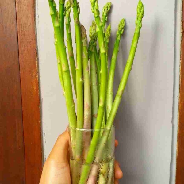 Bila membeli asaparagus tidak langsung dimasak, dapat disimpan dengan memberi air di dalam gelas dan masukkan ujung asparagus yang keras ke dalam air lalu rendam. Asparagus akan tetap segar.