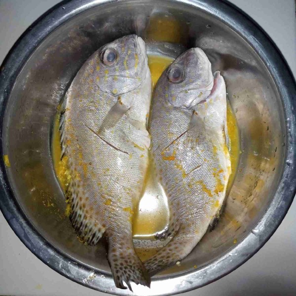 Bersihkan ikan koci-koci. Rendam dengan air jeruk nipis selama 5 menit kemudian bilas. Balur dengan bumbu halus yang sudah dicampurkan dengan air kemudian rendam selama 10 menit.