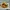 Fillet Ayam Goreng #LebihSehat
