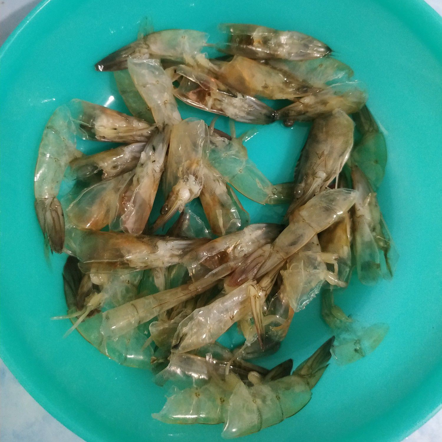 Langkah 1