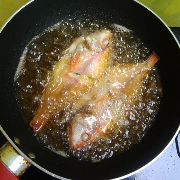Panaskan minyak goreng secukupnya, goreng ikan nila hingga kering. Angkat dan tiriskan