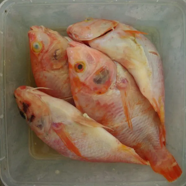 Bersihkan ikan nila, beri perasan jeruk nipis. Diamkan selama 15 menit, kemudian bilas. Beri taburan garam. Diamkan 15 menit