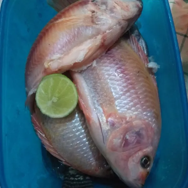 Bersihkan sisik dan isi perut ikan. Bilas sampai bersih dan kucuri jeruk nipis. Bilas dan tiriskan