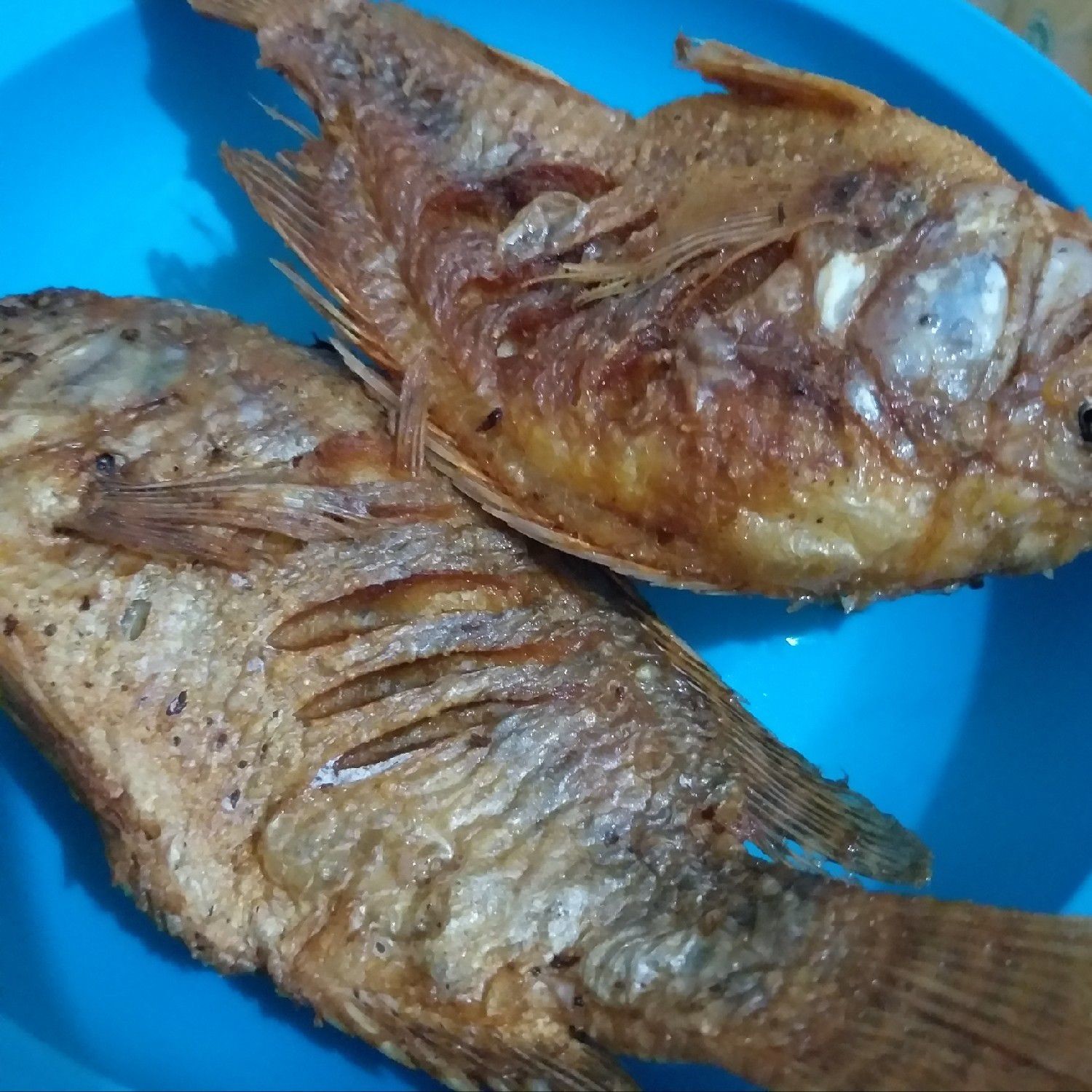 Langkah 2