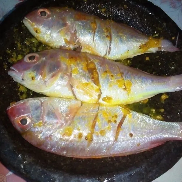 Cuci bersih 3 ikan bang-bangan lalu ratakan dengan bumbu yang sudah dihaluskan.