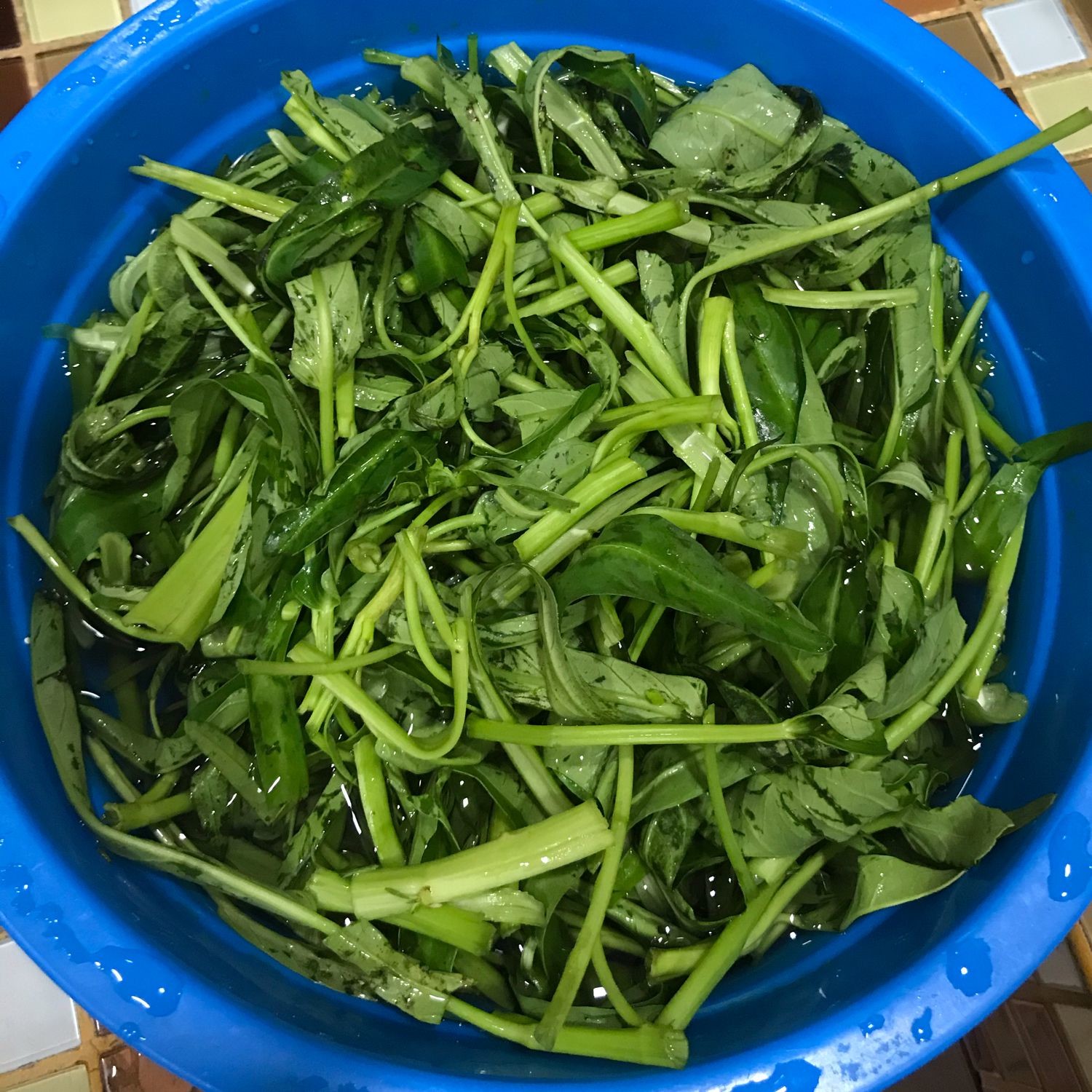 Langkah 1