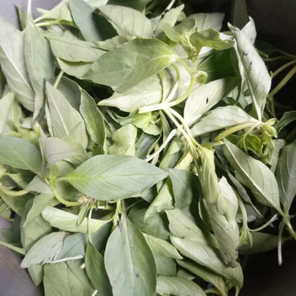 Petik daun kemangi, lalu cuci bersih.