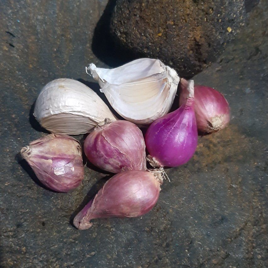 Langkah 1
