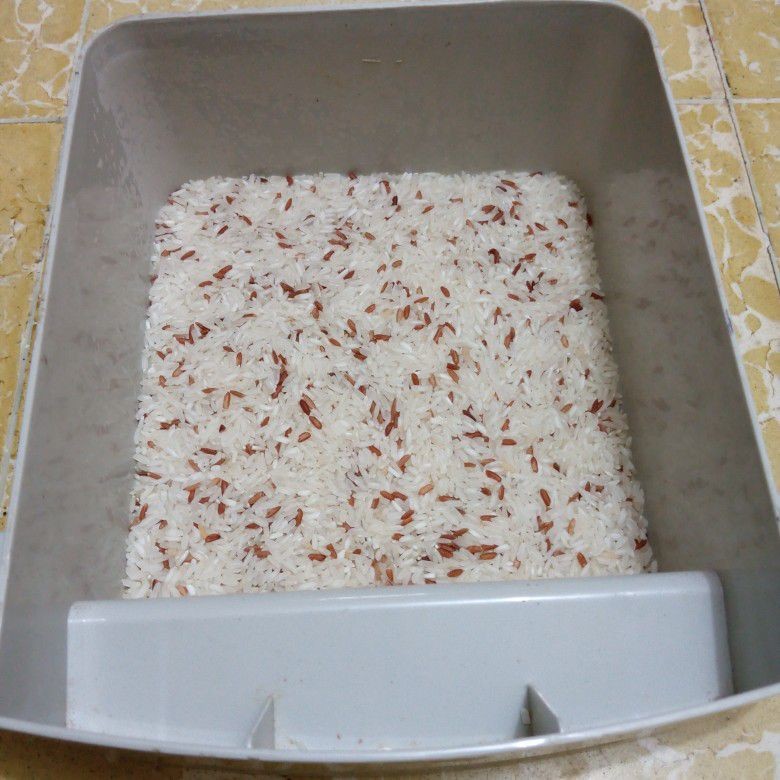 Langkah 1