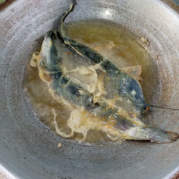 Goreng lele sampai matang. Angkat dan tiriskan