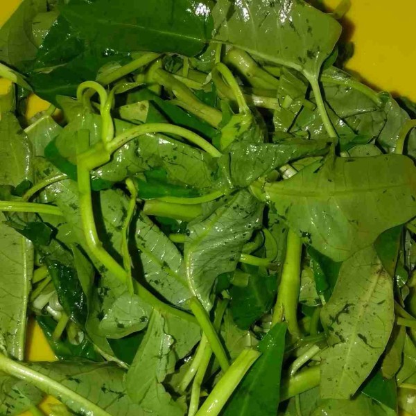 Cuci bersih kangkung dan potong, sisihkan.