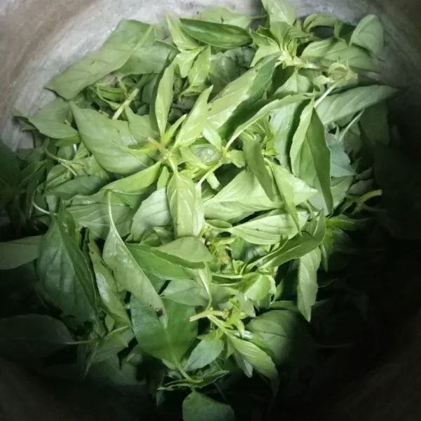 Cuci bersih daun kemangi.