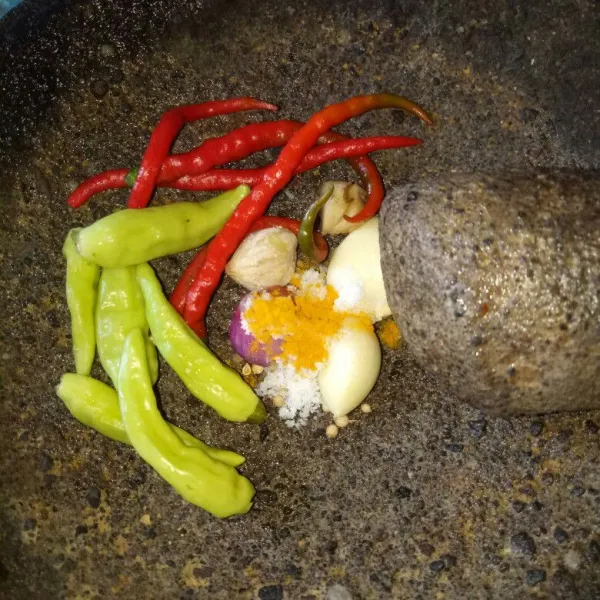 Siapkan cobek, haluskan cabe rawit, cabe merah, ketumbar, kemiri, jahe, kunyit dan garam. Ulek sampai halus lalu aduk sampai tercampur rata