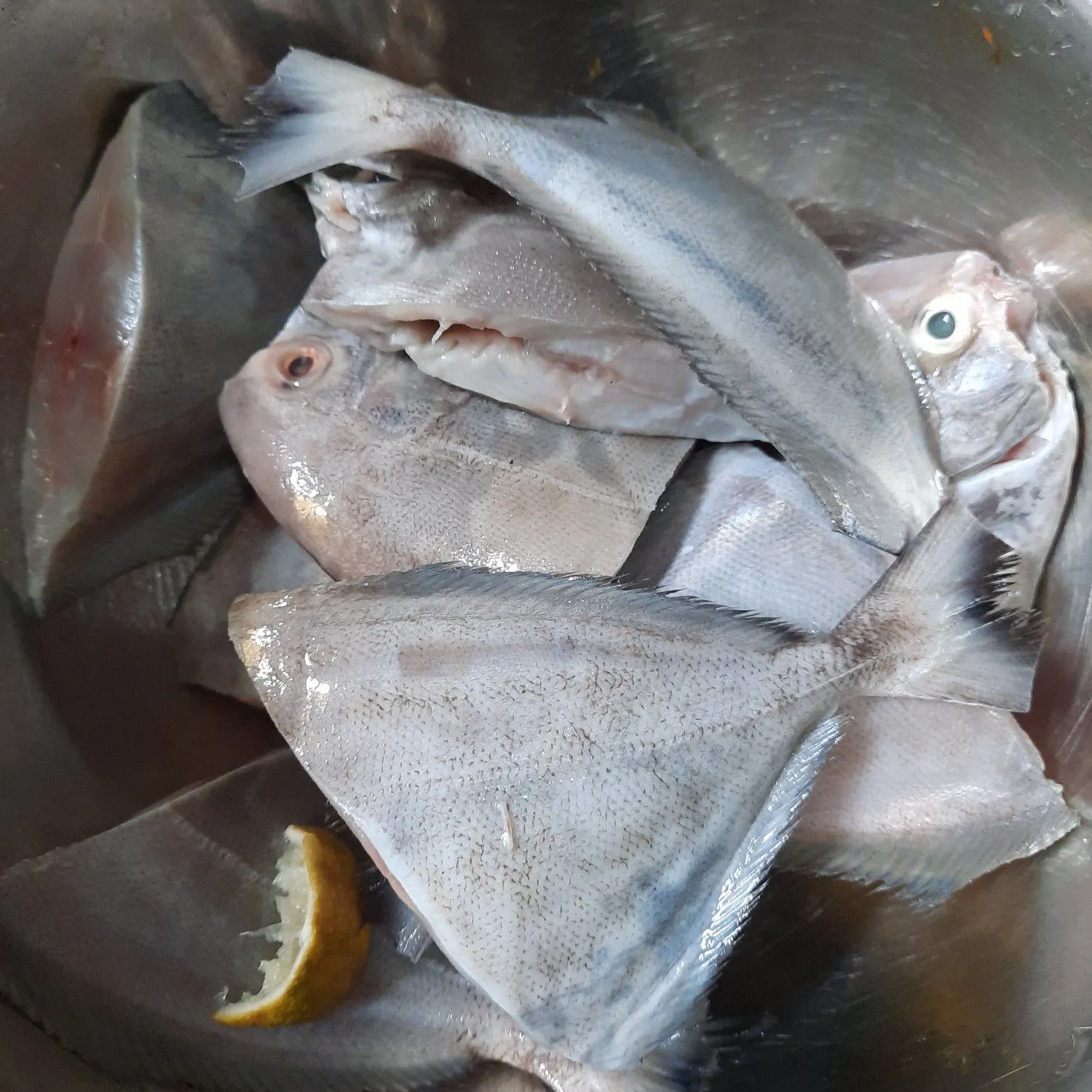 Step 1 Tauco Ikan Bawal