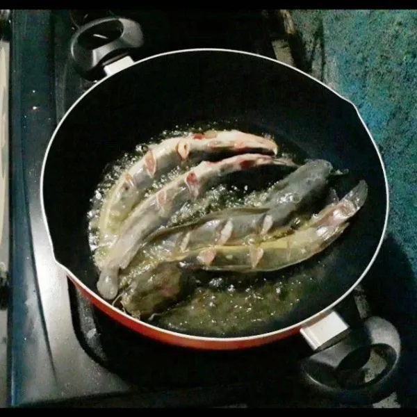 Goreng ikan lele dalam minyak panas hingga 3/4 matang. Lalu angkat dan tiriskan.