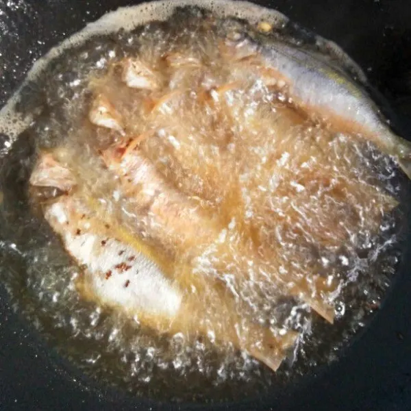 Panaskan minyak goreng ikan hingga matang