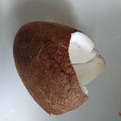 Resep Serundeng Manis (kelapa) dari Ni Made Kembariyani 