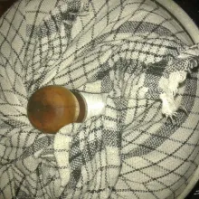 Kemudian kukus selama 25-30 menit dengan api sedang dan tutupnya dialasi serbet, supaya air tidak menetes ke atas kue.