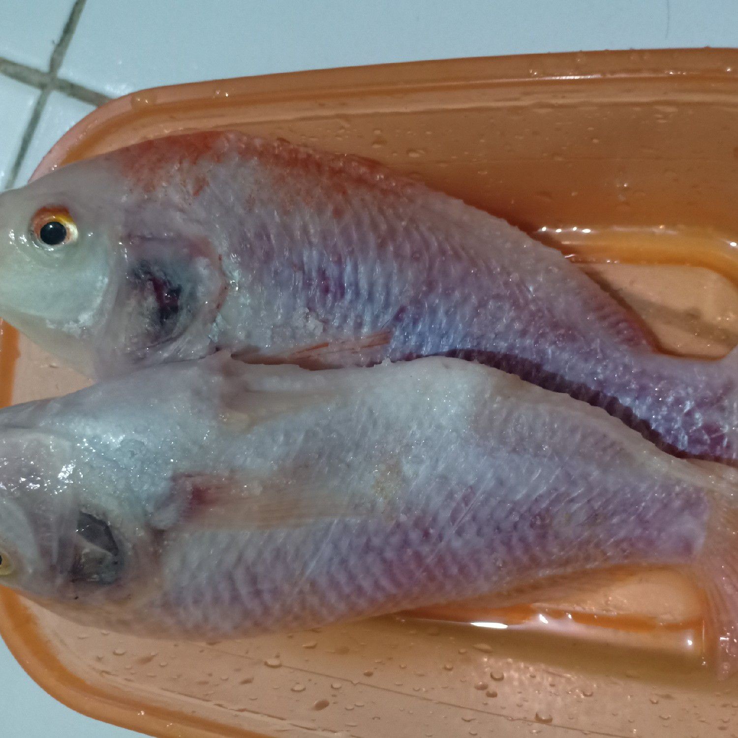 Langkah 1